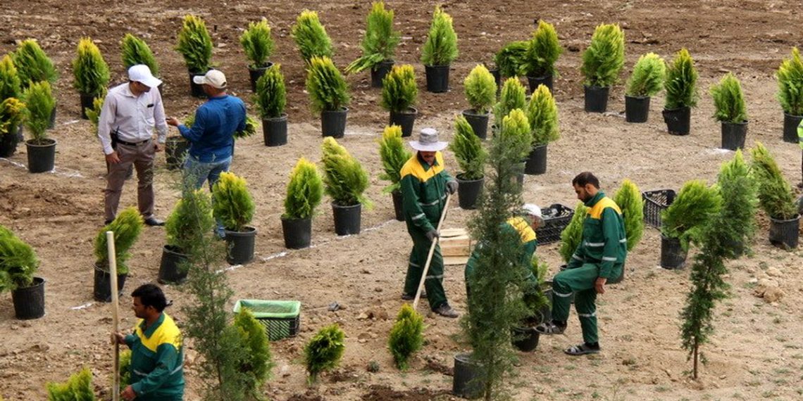 جنگل کاری شهری؛ تلاشی برای بازگرداندن نفس به پایتخت